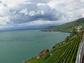 vineyards & lake Geneva2